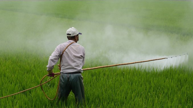 Do pesticides cause infertility?