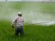 Do pesticides cause infertility?