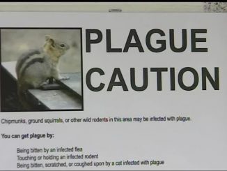 Another case of Plague hits California