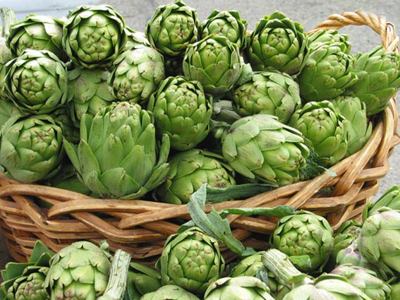 artichokes
