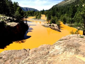 toxic waste