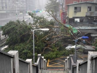 typhoon