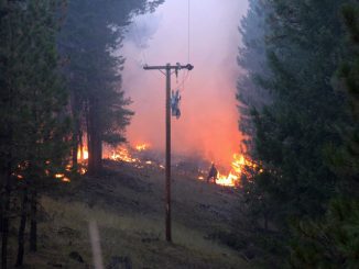 wildfire