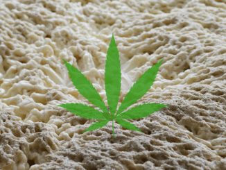 Marijuana