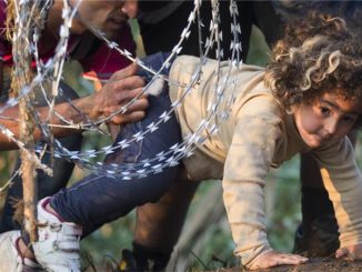 refugee crisis