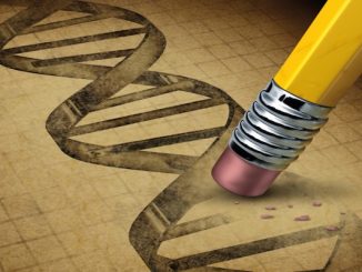 DNA