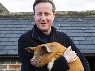 David Cameron