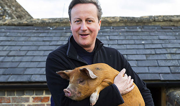 David Cameron