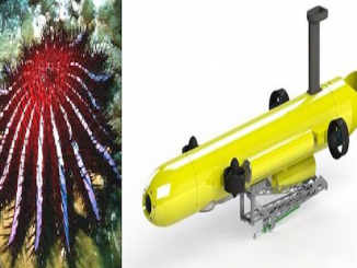 barrier reef crown-of-thorns killer robots