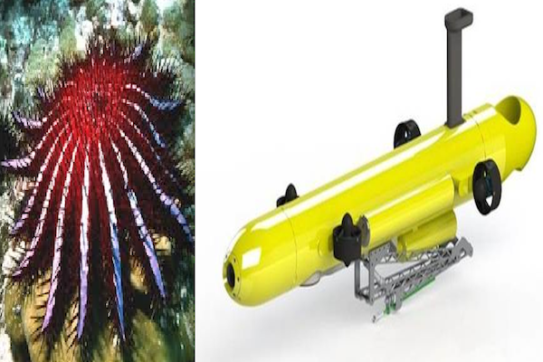 barrier reef crown-of-thorns killer robots