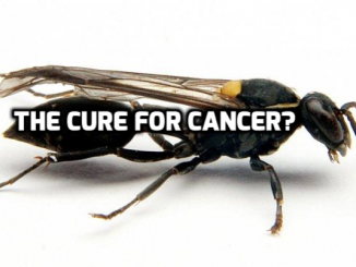 cancer