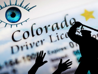 domestic travel police state