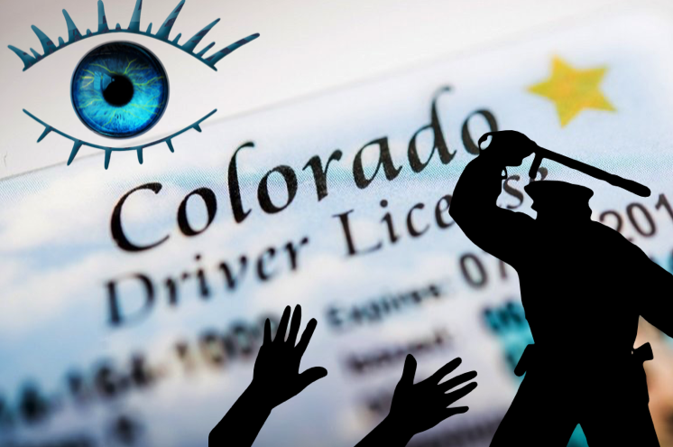 domestic travel police state