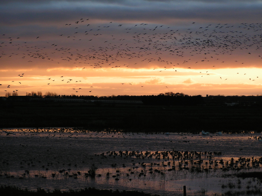 Petition to stop UK fracking
