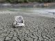 Is the California drought a big government conspiracy?