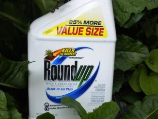 roundup