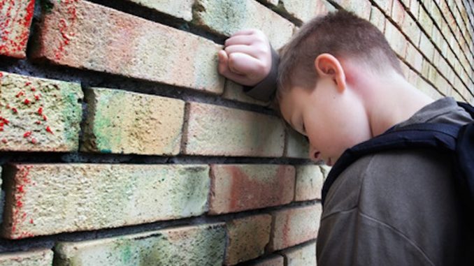 An 11-year-old school boy was suspended for one year and forced to see a psychiatrist after being caught carrying a leaf that merely resembled a cannabis leaf