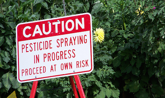 New super GMO foods being released to the public