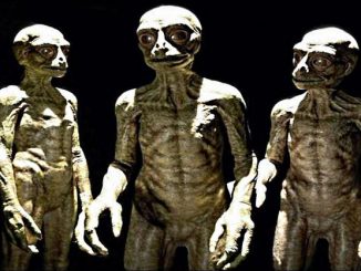 Are the Anunnaki about to return to the Earth to help activate our DNA and take us to the next level in evolution?