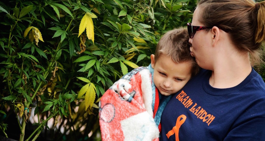 A 3-year-old cancer patient who was told he had just 48-hours to live was cured by taking Cannabis oil
