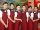 cabin crew