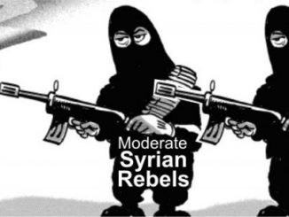 moderate rebels