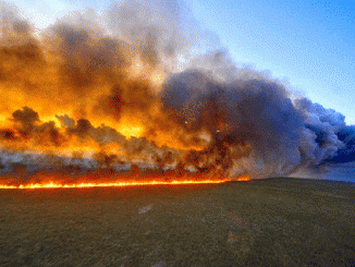 If Saudi Arabia and Turkey enter Syria, could World War III begin?