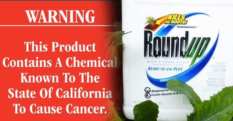 Monsanto have threatened to sue California for saying that their herbicide 'Roundup' is carcinogenic