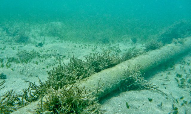 Are Russia about to cut undersea data cables causing a major blackout in communications (including internet) across the America?