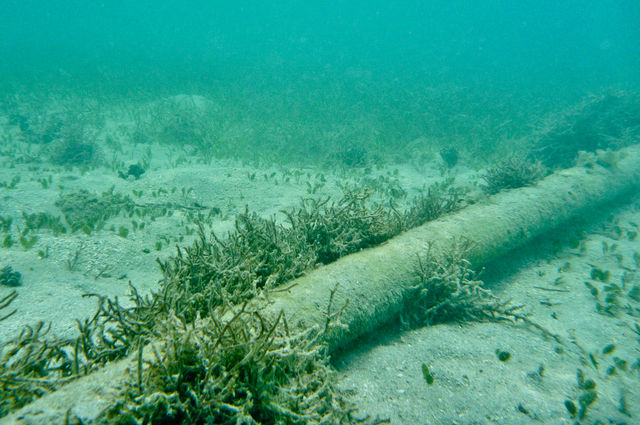 Are Russia about to cut undersea data cables causing a major blackout in communications (including internet) across the America?