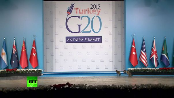 g20 summit