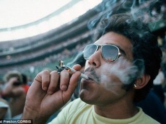 The Mexican supreme court have ruled that cannabis/marijuana is a 'fundamental human right'