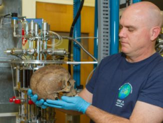 Could this be Hitler's skull found by Russian historians?