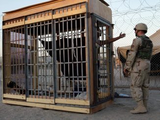 53 countries have been accused of being complicit in the CIA's torture program