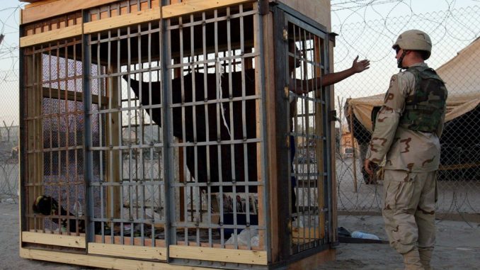 53 countries have been accused of being complicit in the CIA's torture program