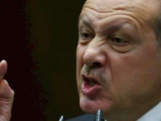 Turkish President Erdogan silences a journalist during a press conference when asked about Turkey's support of ISIS
