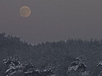 A rare full moon dubbed the 'cold moon' will be seen for the first time in decades this Christmas 2015