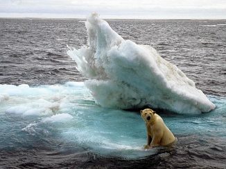 Ice is melting at disturbing levels as a new year North Pole storm hits