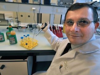 The scientist who linked GMOs to tumors wins lawsuit