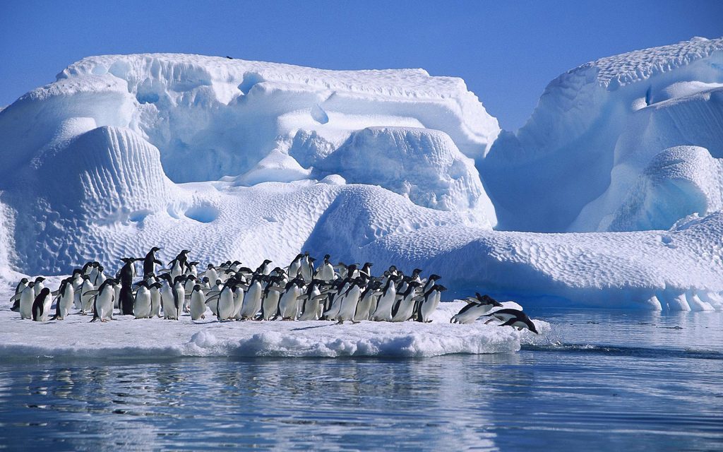Antarctica