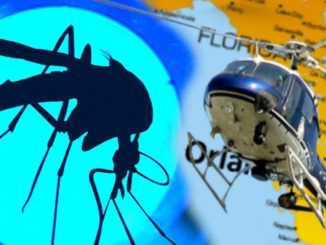 State of emergency is declared in Florida as Zika virus spreads