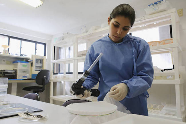 India says it has developed the world's first ever Zika virus vaccine