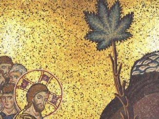 Researchers have discovered that Jesus Christ may have healed the sick with marijuana