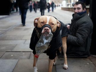 UK government announce plans to fine homeless people