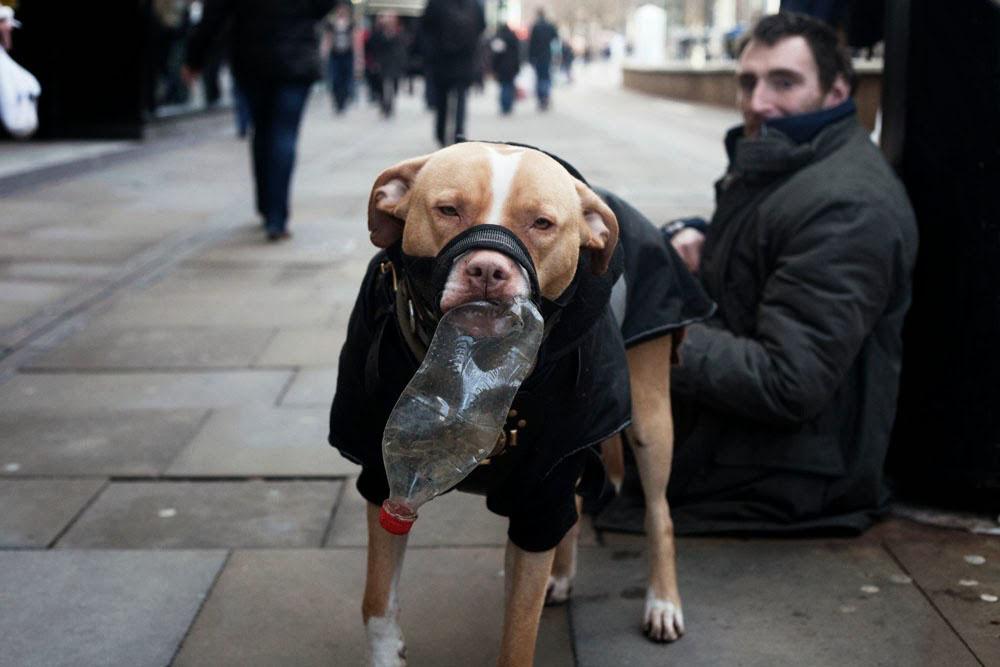 UK government announce plans to fine homeless people