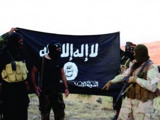 European politician says Turkey have been caught arming ISIS militants