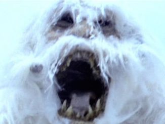 Is this the infamous Yeti, or Bigfoot, caught on film in Russia?