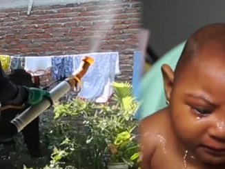 Brazilian State Suspends Larvicide Used To Combat Zika Virus