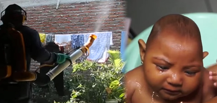 Brazilian State Suspends Larvicide Used To Combat Zika Virus