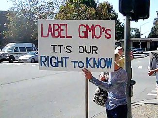 Corporate donors gave $11 million to stop the labelling of GMO food products